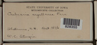 Image Associated With the Occurence